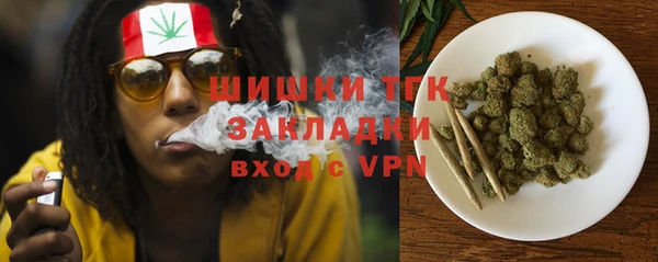 PSILOCYBIN Арсеньев
