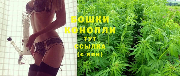 PSILOCYBIN Арсеньев