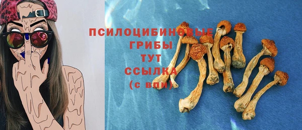 МДПВ Армянск