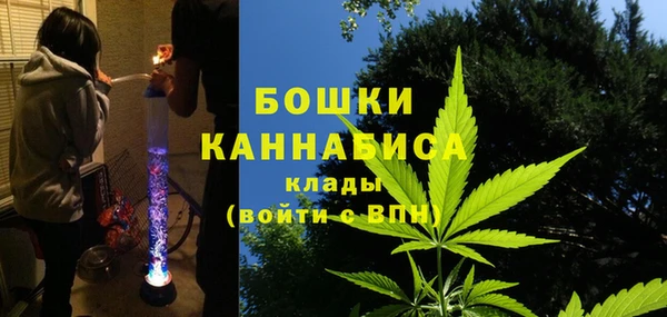 PSILOCYBIN Арсеньев