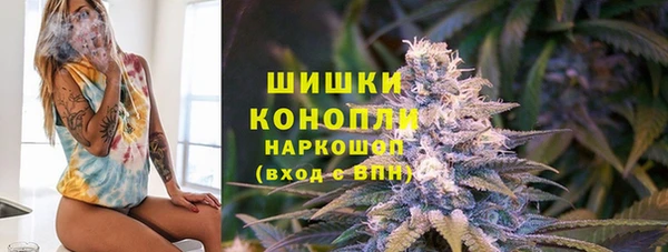 Альфа ПВП Аркадак