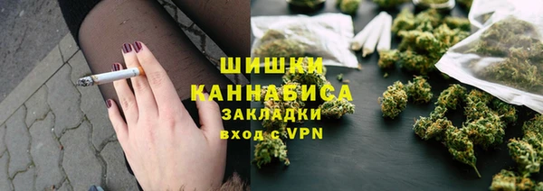 Альфа ПВП Аркадак